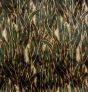 zeewier velours meubestoffen Ice Velvet 18101 Seaweed Grass 6022 dark Green Vanaf > 3.00 meter